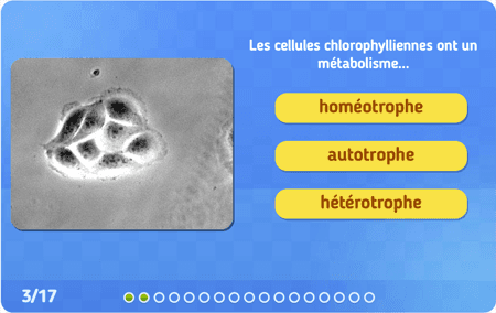 Le fonctionnement des cellules