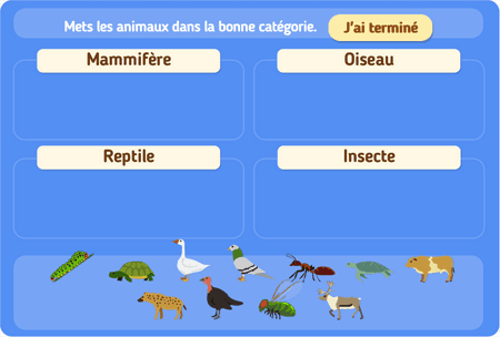 Classification des espèces niv 1 