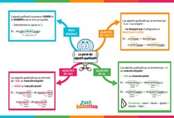 Le pluriel des adjectifs - Vidéo pédagogique interactive - CE2, CM1, CM2 à 6ème
