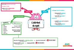 L'attribut du sujet - Vidéo pédagogique interactive - CE2, CM1, CM2 à 6ème