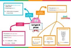 Les types de phrases - Vidéo pédagogique interactive - CE2, CM1, CM2 à 6ème