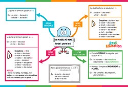 Pluriel en -s (partie 1) - Le pluriel des noms - Vidéo pédagogique interactive - CE2, CM1, CM2 à 6ème