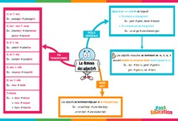 Le féminin des adjectifs - Vidéo pédagogique interactive - CE2, CM1, CM2 à 6ème