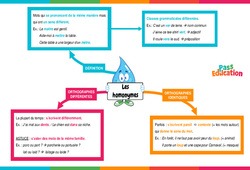 Les homonymes - Vidéo pédagogique interactive - CE2, CM1, CM2 à 6ème