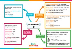 Les déterminants - Vidéo pédagogique interactive - 5ème, 4ème, 3ème