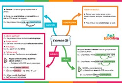 L’attribut du complément d’objet direct (COD) - Vidéo pédagogique interactive - 5ème, 4ème, 3ème