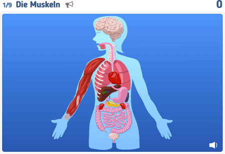 Anatomie 2