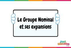 Le groupe nominal et ses expansions - 3ème - Vidéo pédagogique interactive