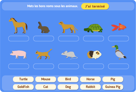 Animals lvl 0 : Pets (dragNDrop) 