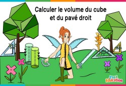 Calculer le volume du cube et du pavé droit - Ce2 - Cm1 - Cm2 - 6ème - Vidéo La Fée des Maths