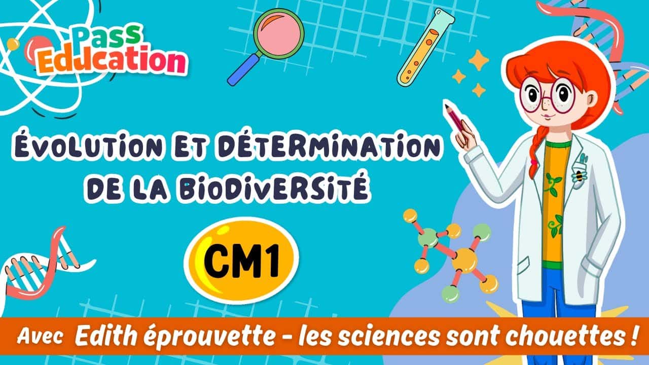 Évolution et détermination de la biodiversité - Edith Eprouvette
