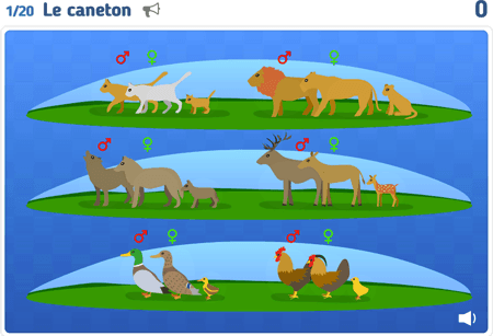 Les animaux niv 2 : les familles 