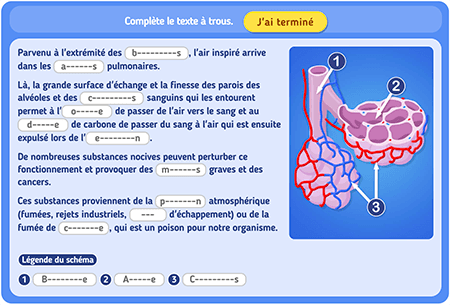Texte à trous : La respiration niv 2