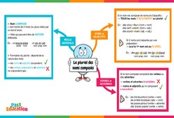 Le pluriel des noms composés - Vidéo pédagogique interactive - CE2, CM1, CM2 à 6ème