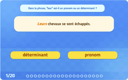 Leur : pronom ou déterminant ?