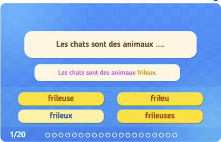 Les accords des adjectifs niv 2