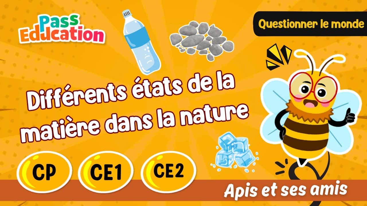 Différents états de la matière dans la nature - Apis & ses amis