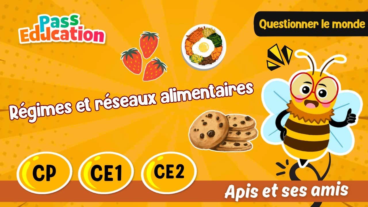 Régimes et réseaux alimentaires - Apis & ses amis