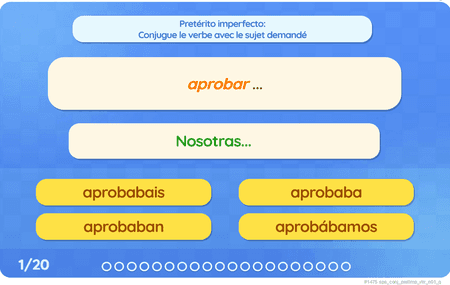 Pretérito imperfecto : Verbos irregulares