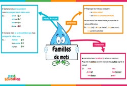 La famille des mots - Vidéo pédagogique interactive - CE2, CM1, CM2 à 6ème