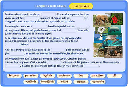 Diversité et parenté des êtres vivants