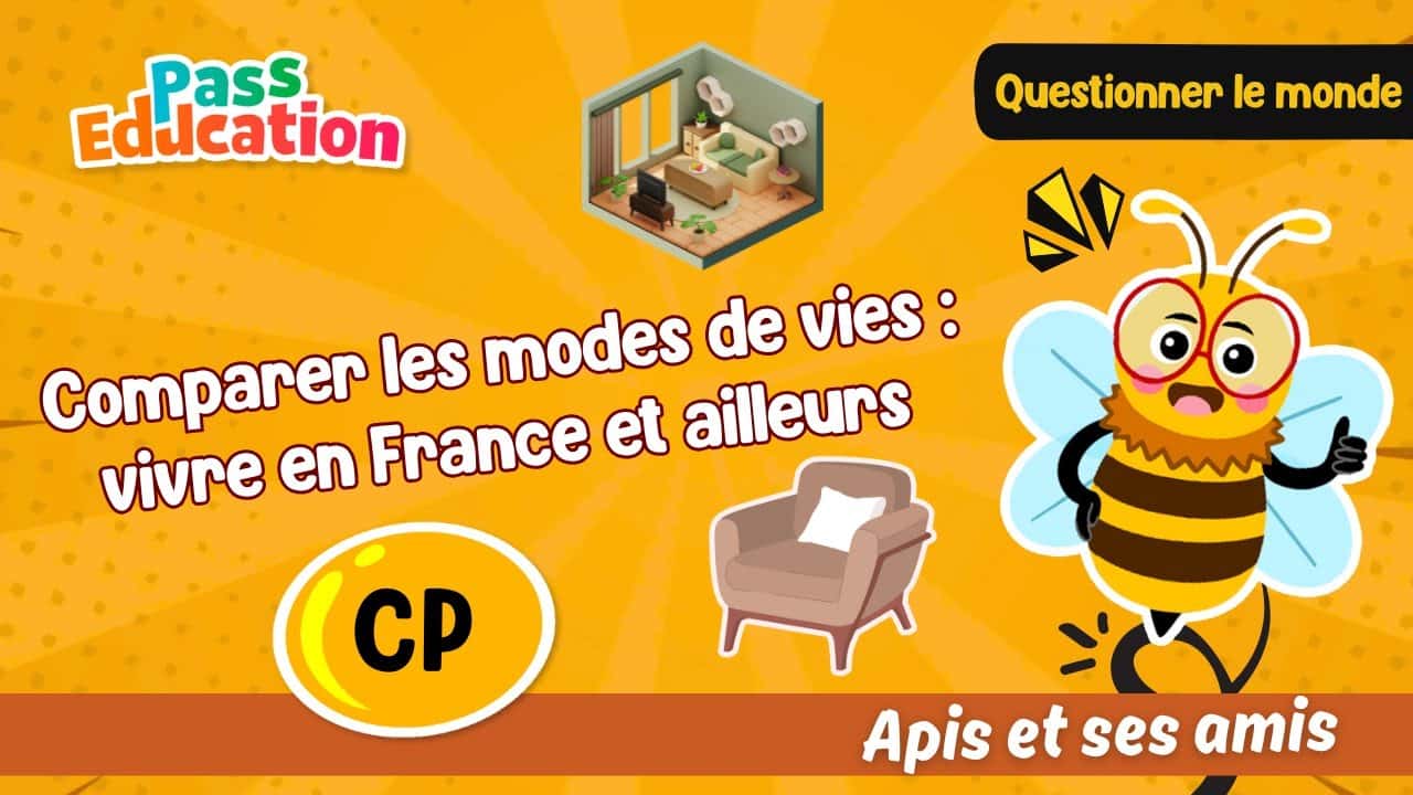 Comparer les modes de vies : vivre en France et ailleurs - Apis & ses amis