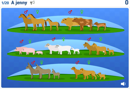 Animals lvl 2 : Families