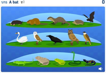 Animals lvl 4 : European Fauna