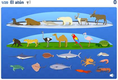Los animales 5 : Fauna salvaje