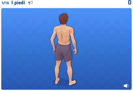 Il corpo umano 1