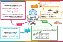 L'accord de l'attribut du sujet - Vidéo pédagogique interactive - CE2, CM1, CM2 à 6ème