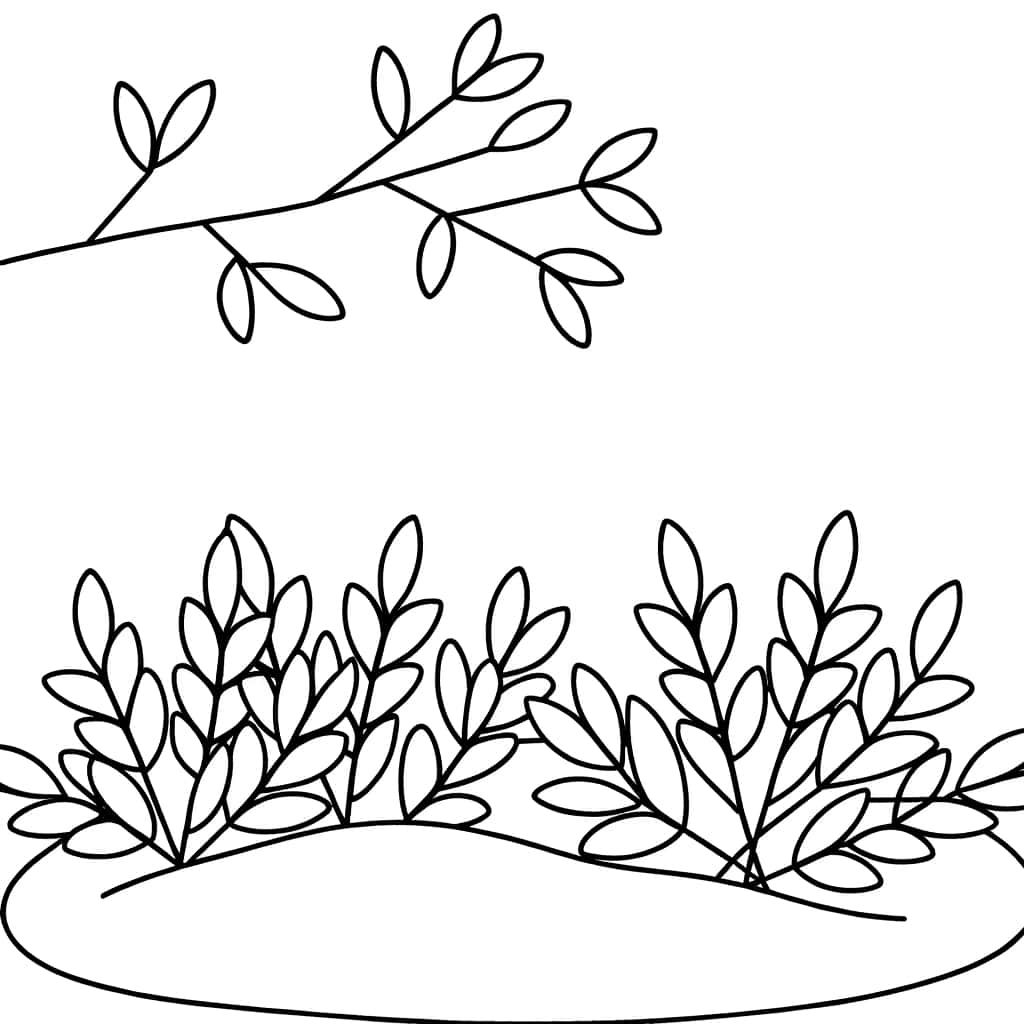 Buisson