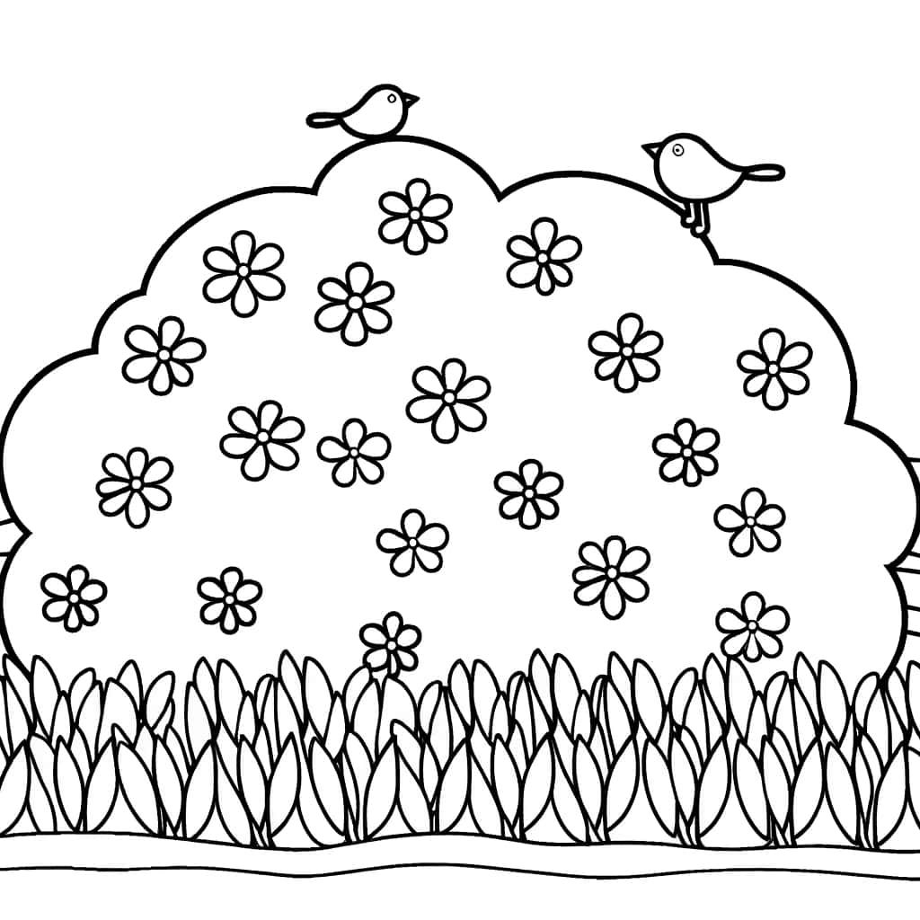 Buisson fleuri