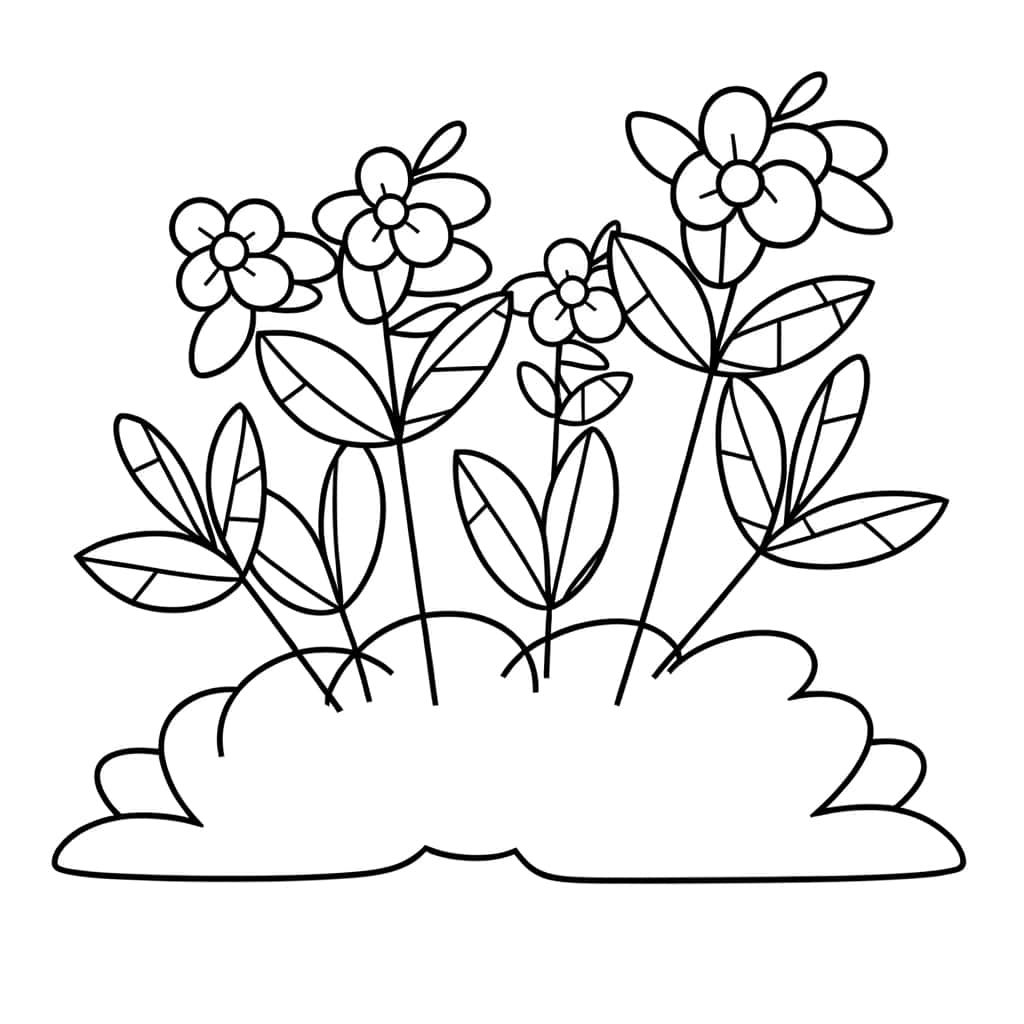 Buisson fleuri