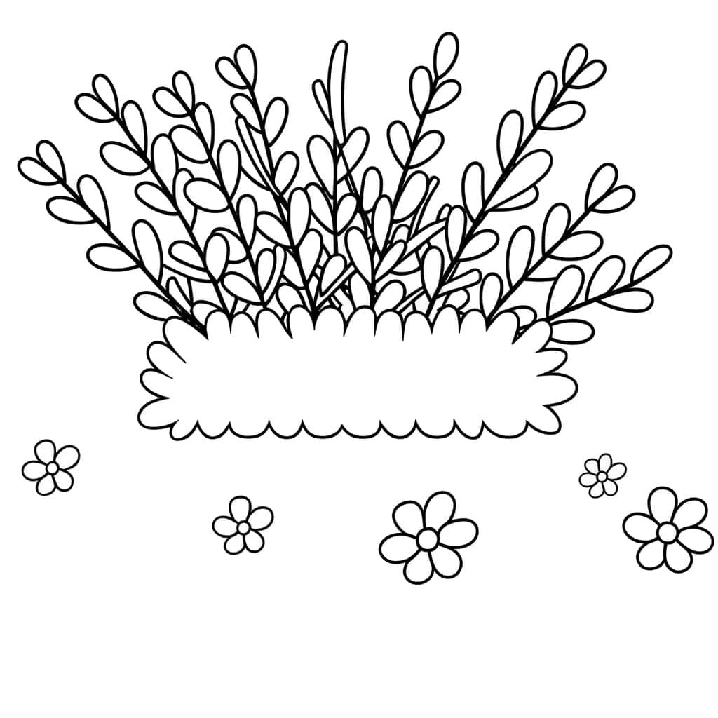 Buisson fleuri