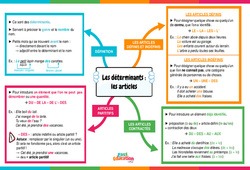 Les articles - Vidéo pédagogique interactive - 5ème, 4ème, 3ème