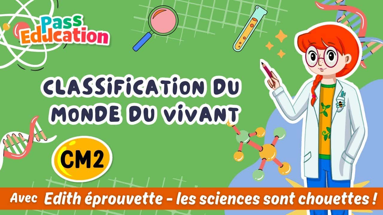 Classification du vivant - Edith Eprouvette