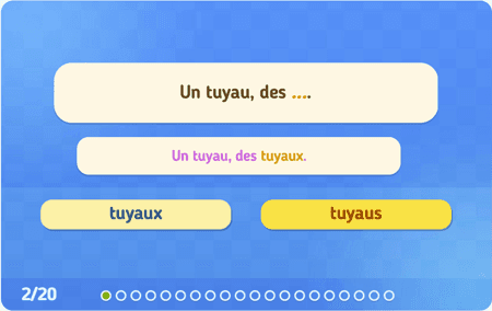 Le pluriel des mots en 
