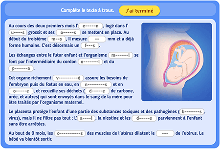 Texte à trous : De l'embryon à la naissance