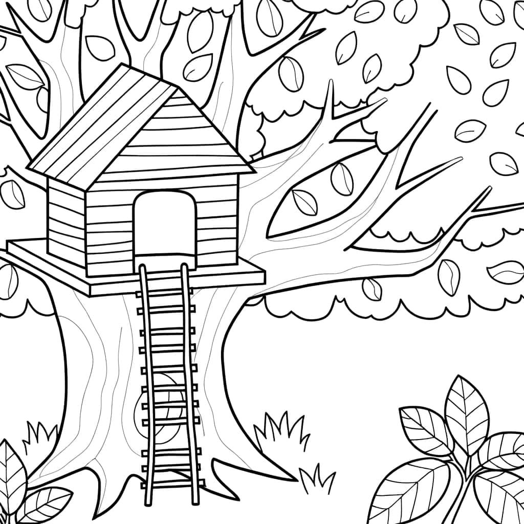 Cabane dans les arbres