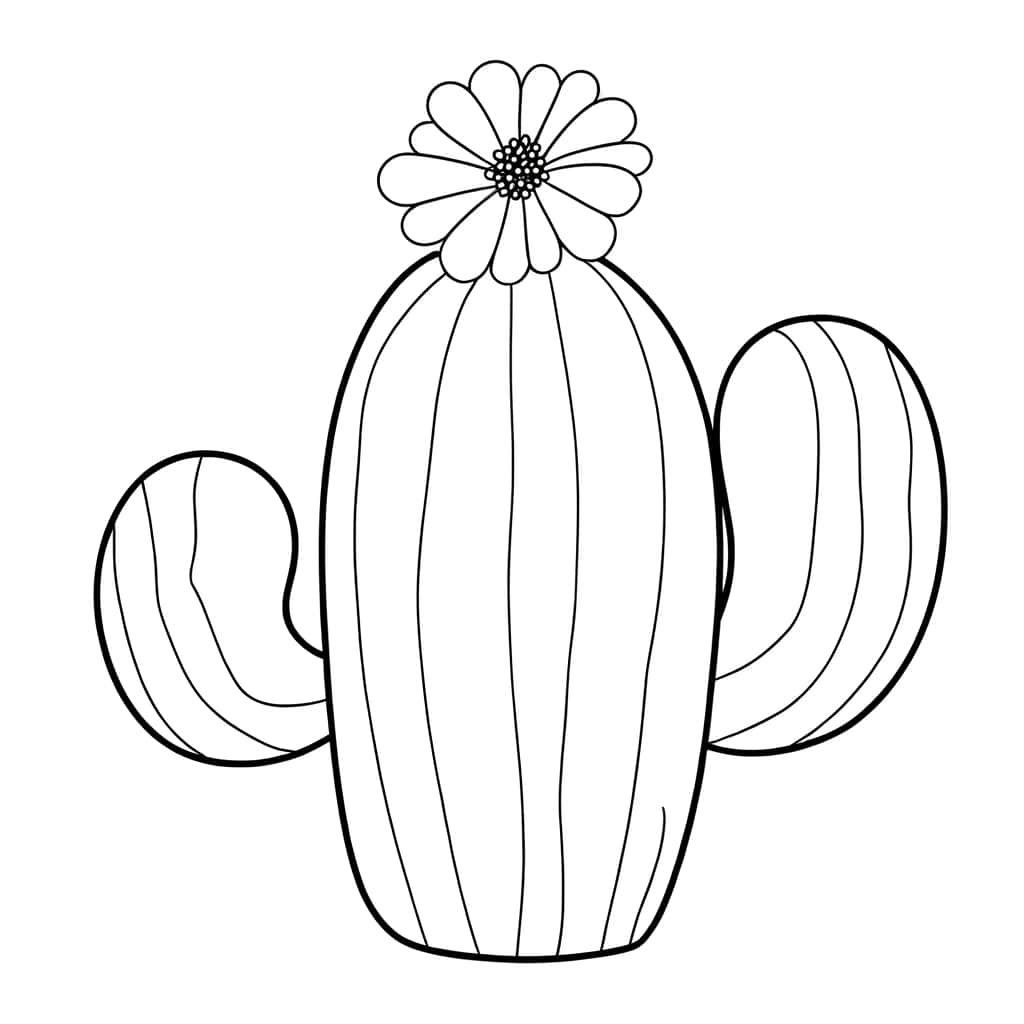 Cactus à fleur