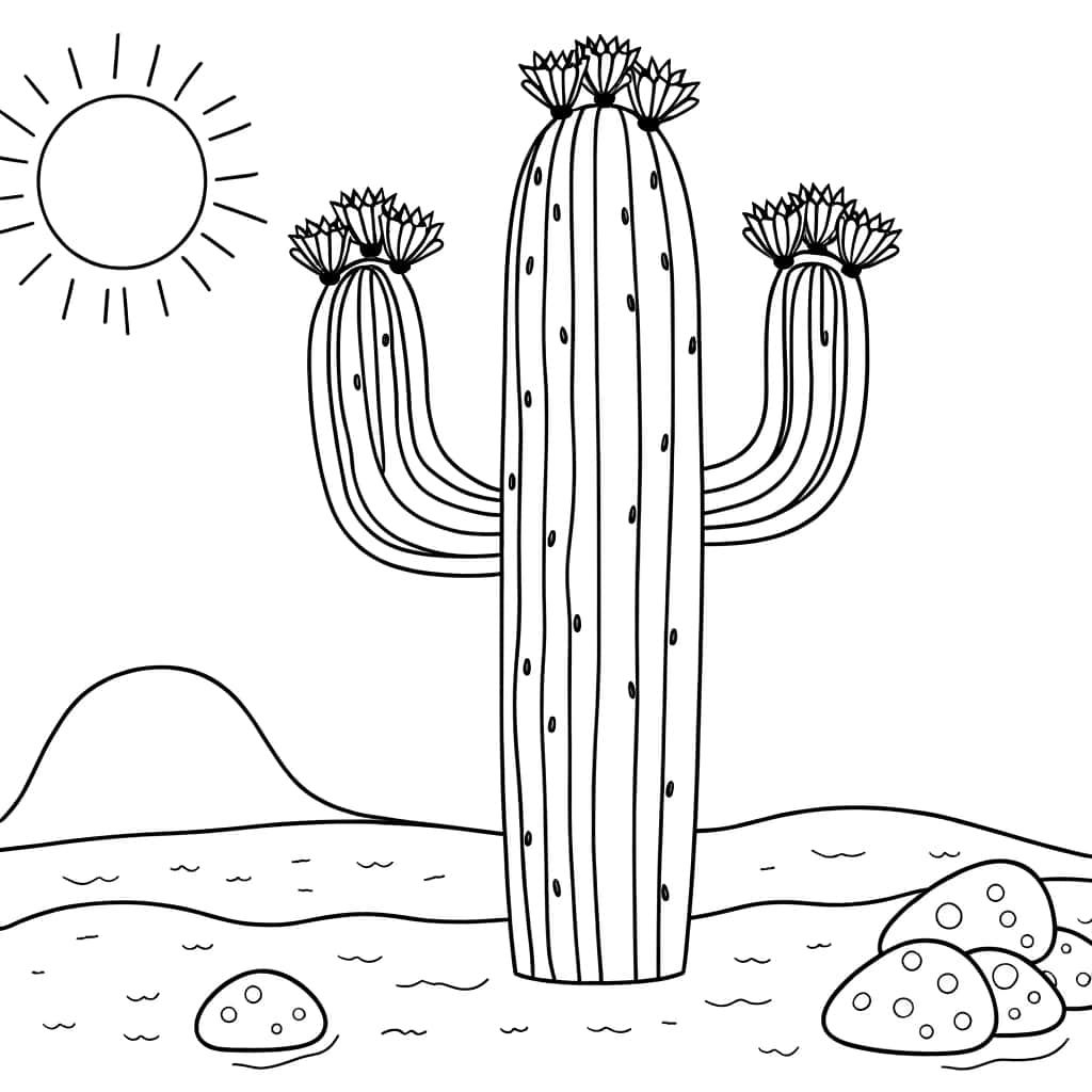 Cactus ensoleillé