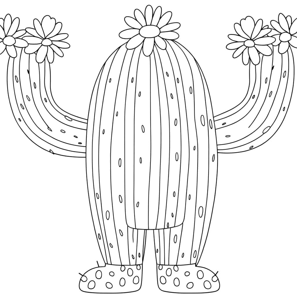 Cactus souriant