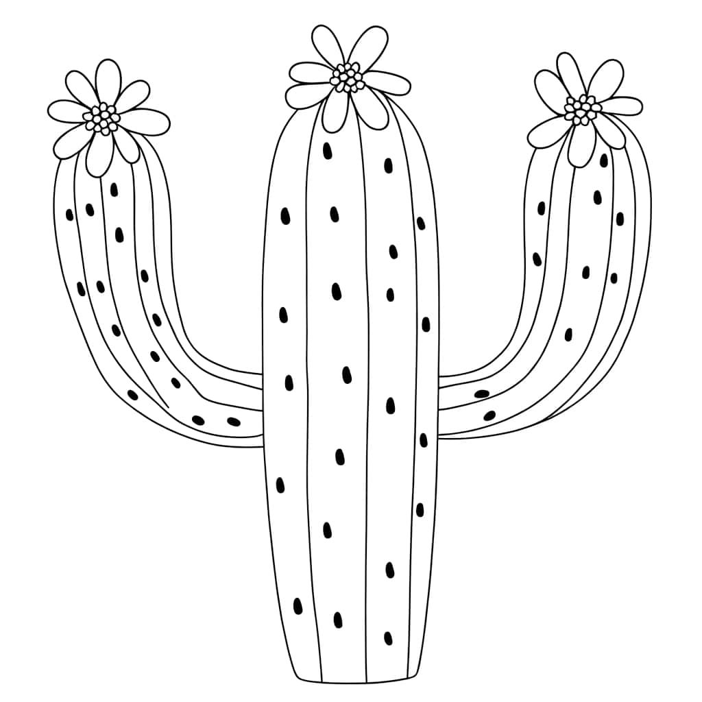 Cactus avec fleurs