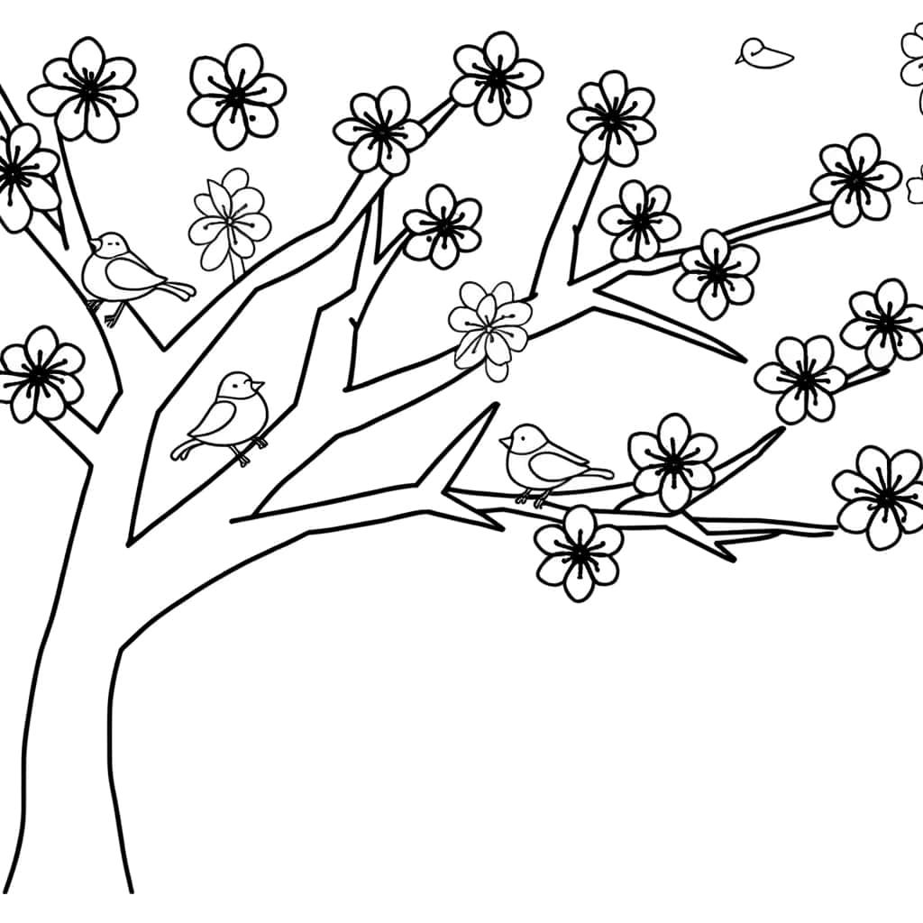 Cerisier en fleurs