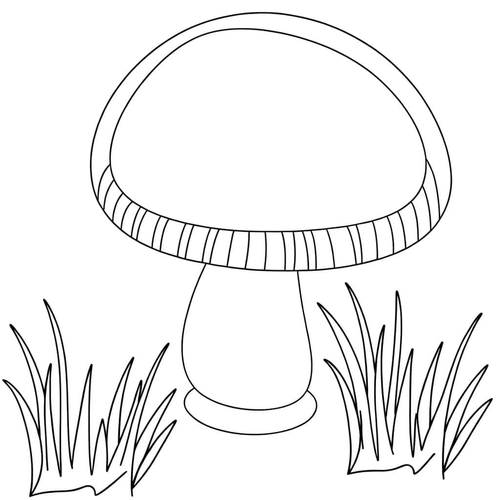 Champignon stylisé