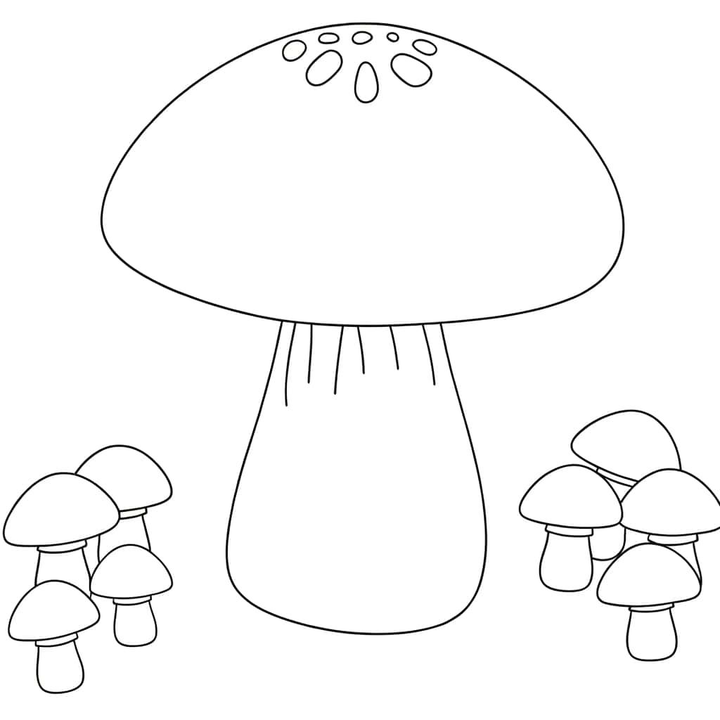 Grand champignon