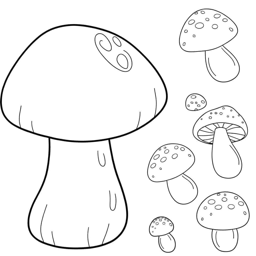 Champignons fantaisistes