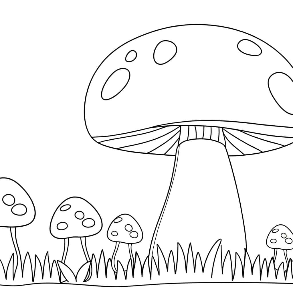 Champignons fantaisistes