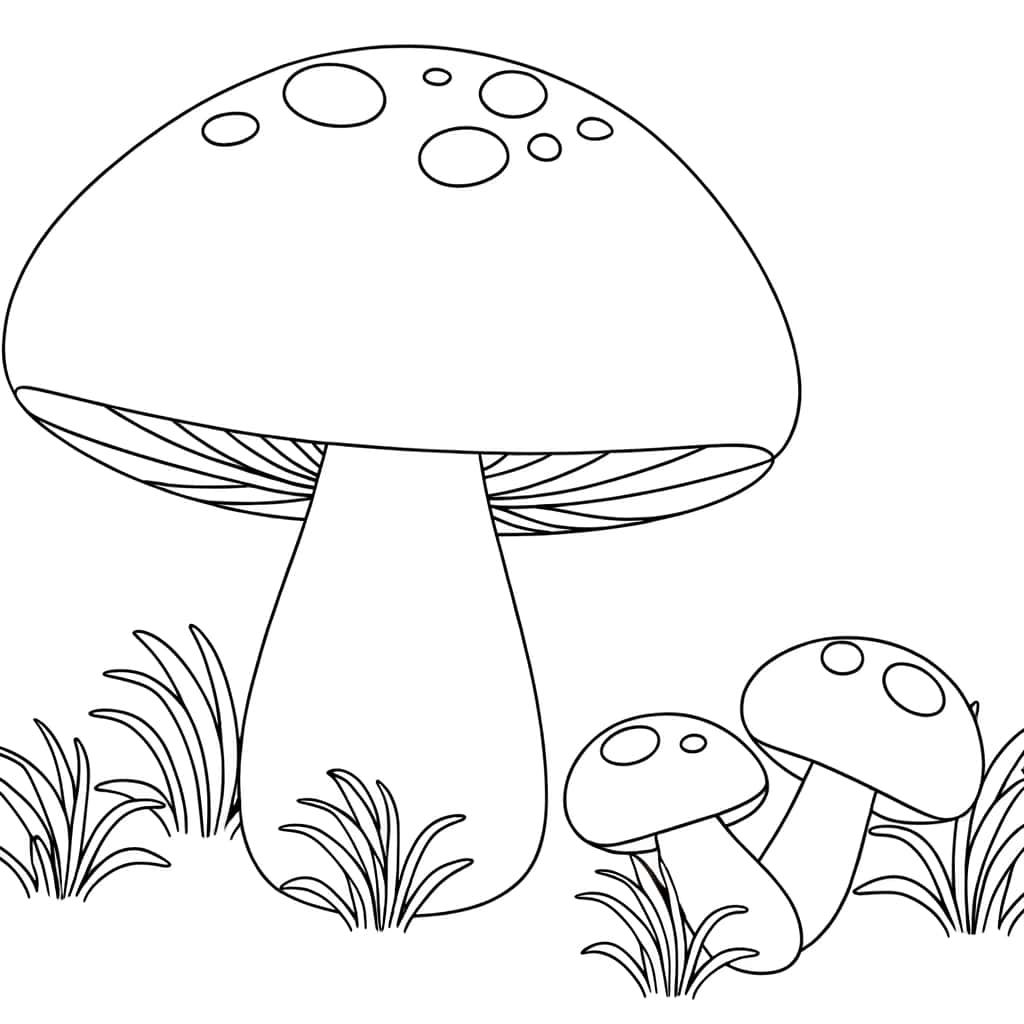 Champignons fantaisistes